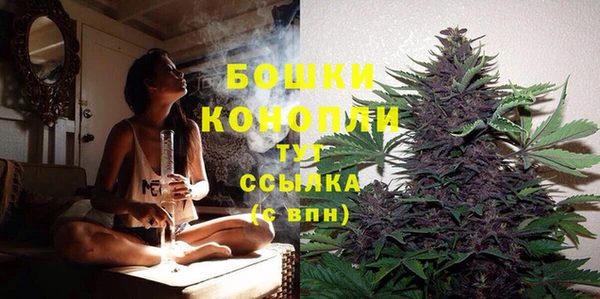индика Белокуриха