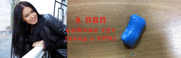 индика Белокуриха