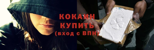 индика Белокуриха