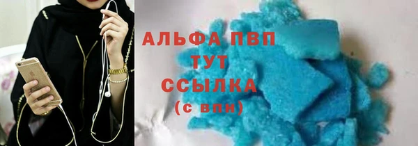 индика Белокуриха