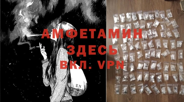 индика Белокуриха