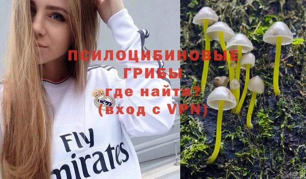альфа пвп Богородицк
