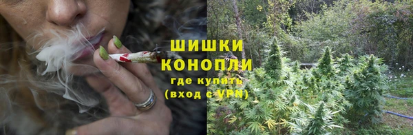 амф Беломорск