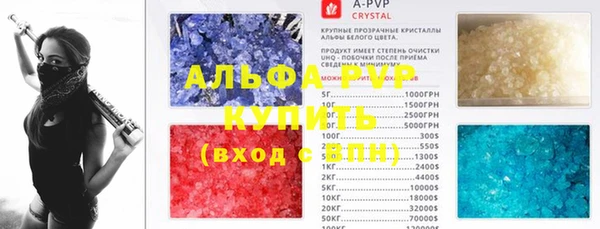 индика Белокуриха